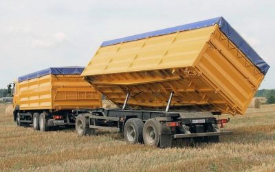 Услуги зерновозов для перевозки зерна - Первомайское, цены, предложения специалистов