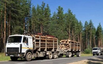 Лесовозы для перевозки леса, аренда и услуги. - Севастополь, заказать или взять в аренду