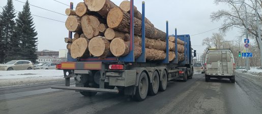 Поиск транспорта для перевозки леса, бревен и кругляка стоимость услуг и где заказать - Симферополь